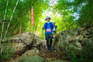 BIB: 
                            <button type="button" onclick="openModal(22087444)" class="btn btn-primary btn-sm float-right btn-popup" data-toggle="modal" data-target=".modal-high-quality">
                        <i class="fas fa-shopping-cart"></i> Add to Cart
                    </button>
                                            <button type="button" onclick="isThisMe(22087444, true)" class="btn btn-success btn-sm float-right btn-popup btn-isme hidden" data-toggle="tooltip" data-placement="bottom" title="นี่คือรูปของคุณใช่ไหม คลิกที่นี่เพื่อเอาเข้าอัลบั้ม">
                        <i class="fas fa-plus"></i> Add to album
                    </button>
                    <button type="button" onclick="isThisMe(22087444, false)" class="btn btn-warning btn-sm float-right btn-popup btn-isnotme hidden">
                        <i class="fas fa-ban"></i> Remove from album
                    </button>